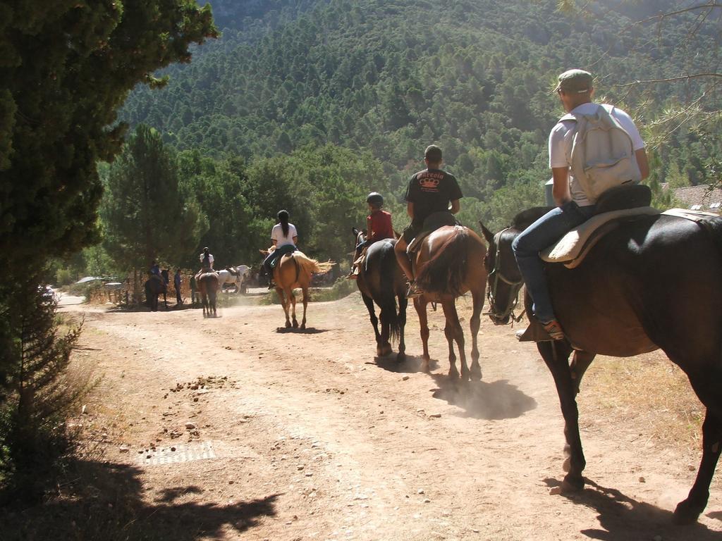 Hotel Rural Montana De Cazorla Arroyo Frio Zewnętrze zdjęcie
