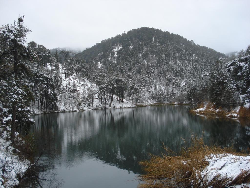 Hotel Rural Montana De Cazorla Arroyo Frio Zewnętrze zdjęcie