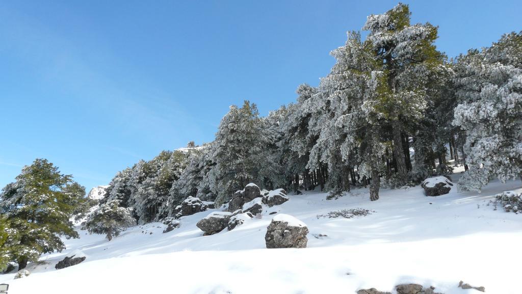 Hotel Rural Montana De Cazorla Arroyo Frio Zewnętrze zdjęcie